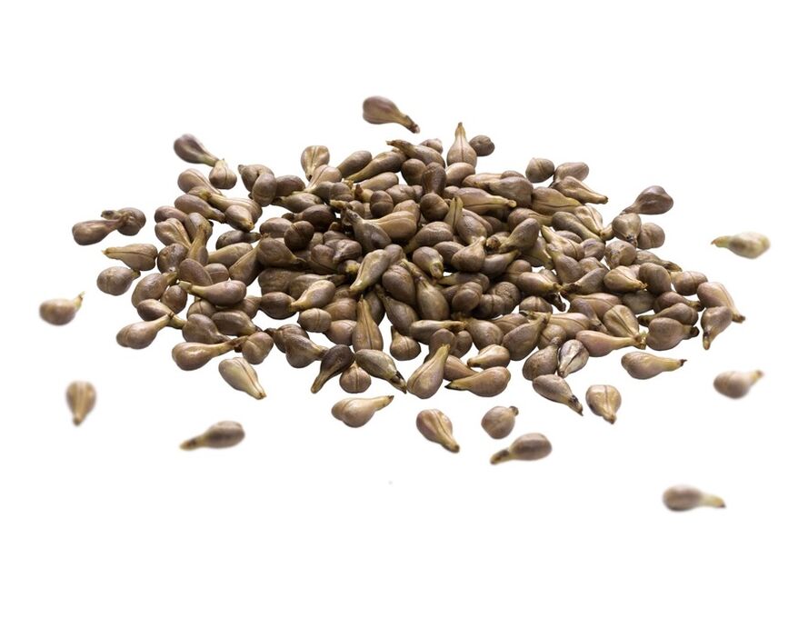 Η κρέμα Varicone περιέχει λάδι σπόρου σταφυλιών